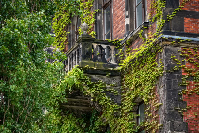 Muzeum Narodowe we Wrocławiu